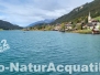 Bionaturacquatika Austria 22